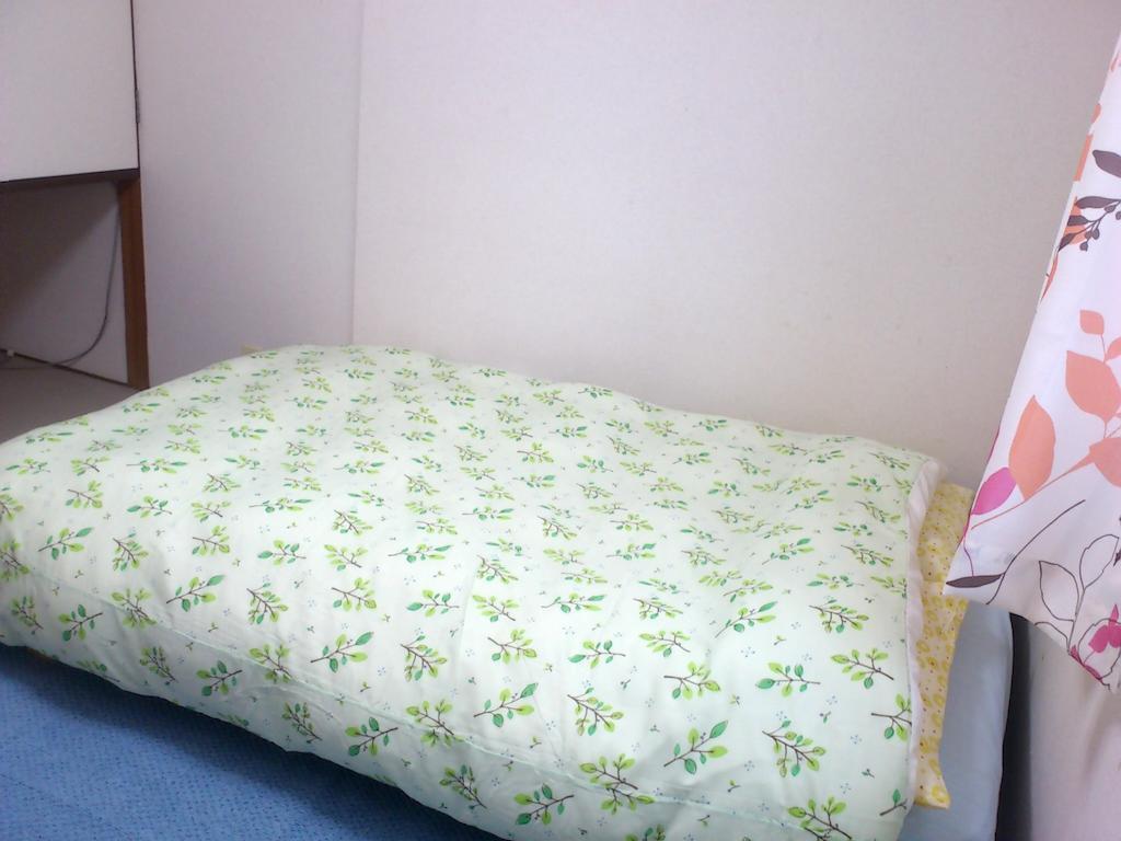 Daily Apartment House Kitashirakawa Ivy 京都 客房 照片